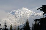 _DSC8884.jpg